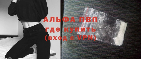 стаф Дмитров