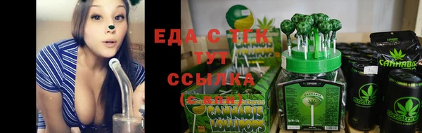 дмт Дмитровск