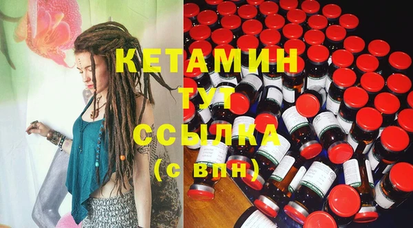 стаф Дмитров