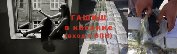 стаф Дмитров