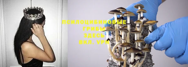 MDMA Premium VHQ Дмитриев