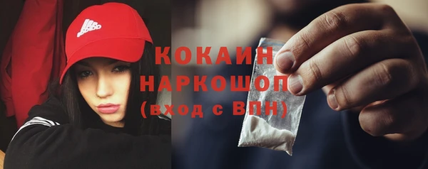 стаф Дмитров