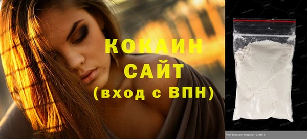 стаф Дмитров