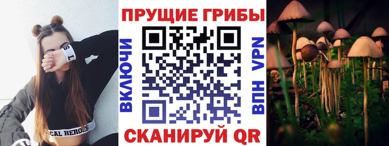 Купить  Мантурово  Псилоцибиновые грибы GOLDEN TEACHER 
